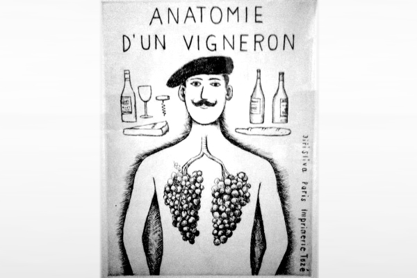 De anatomie van een wijnbouwer